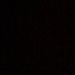 Meet your Posher, Leo